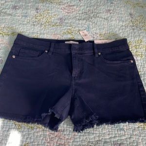 Loft shorts size 6